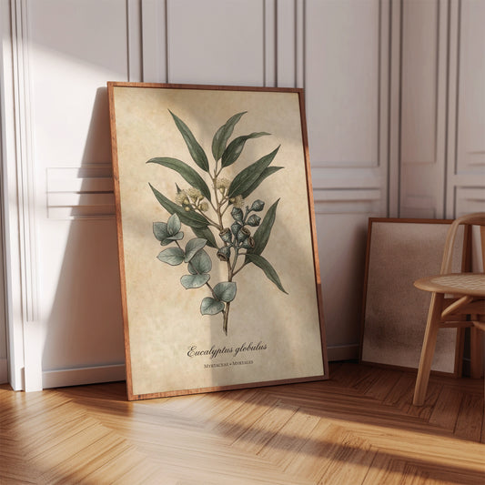 Vintage Eucalyptus Botanical Wall Art