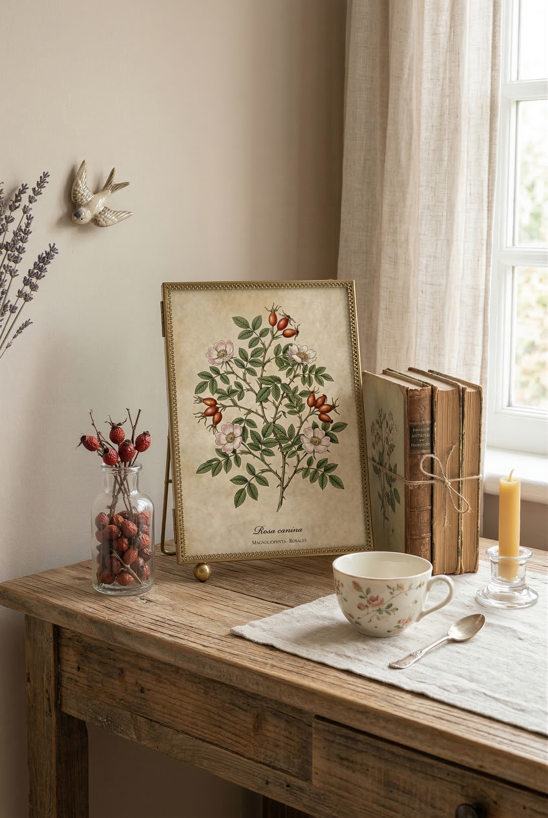 The Art of Stillness: Why Your Home Needs a Botanical Sanctuary
