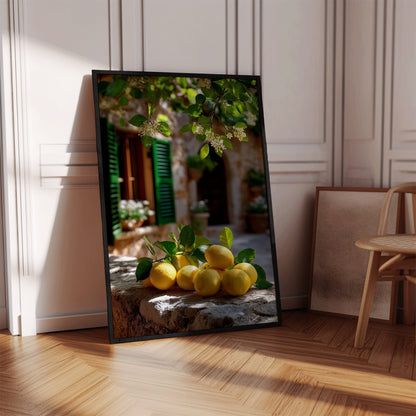 Mediterranean Lemons Poster