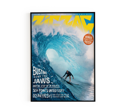 Vintage Hawaiian Jaws Surfer Poster