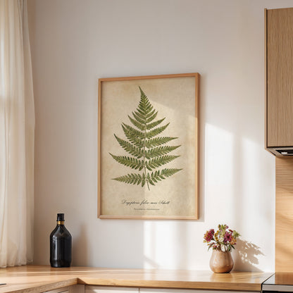 Vintage Botanical Fern Print