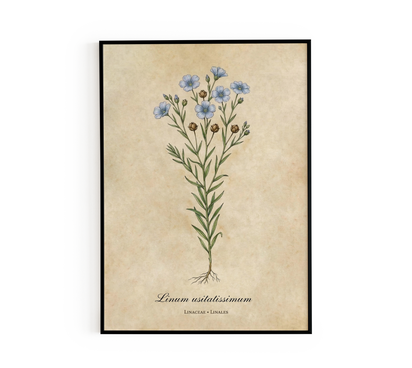 Blue Linum Botanical Wall Art