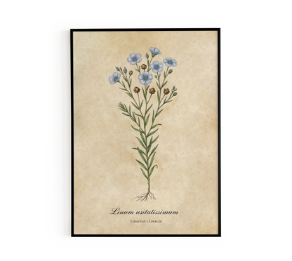 Blue Linum Botanical Wall Art