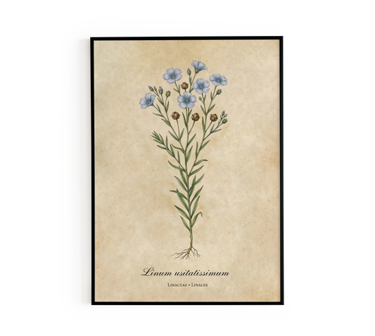 Blue Linum Botanical Wall Art