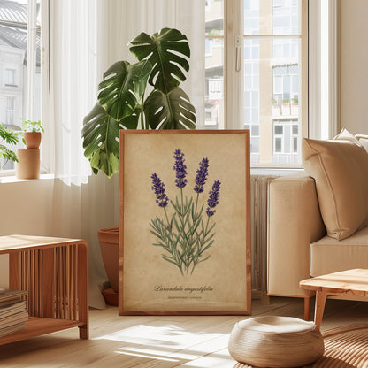 Vintage Botanical Lavender Wall Art
