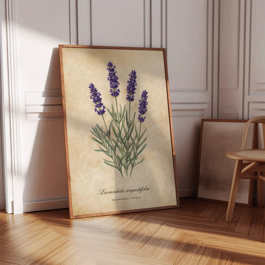 Vintage Botanical Lavender Wall Art