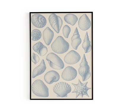 Vintage Blue Seashell Poster