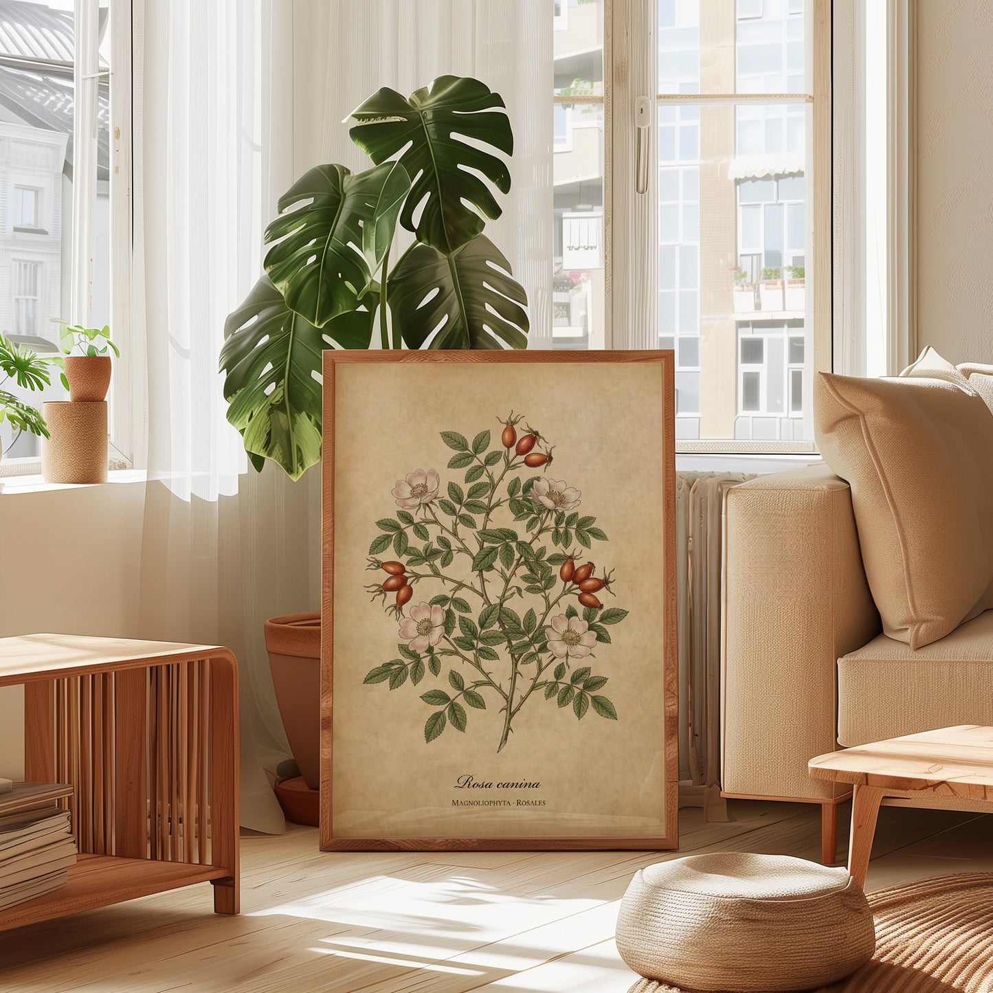 Botanical Rosa Canina Wall Art