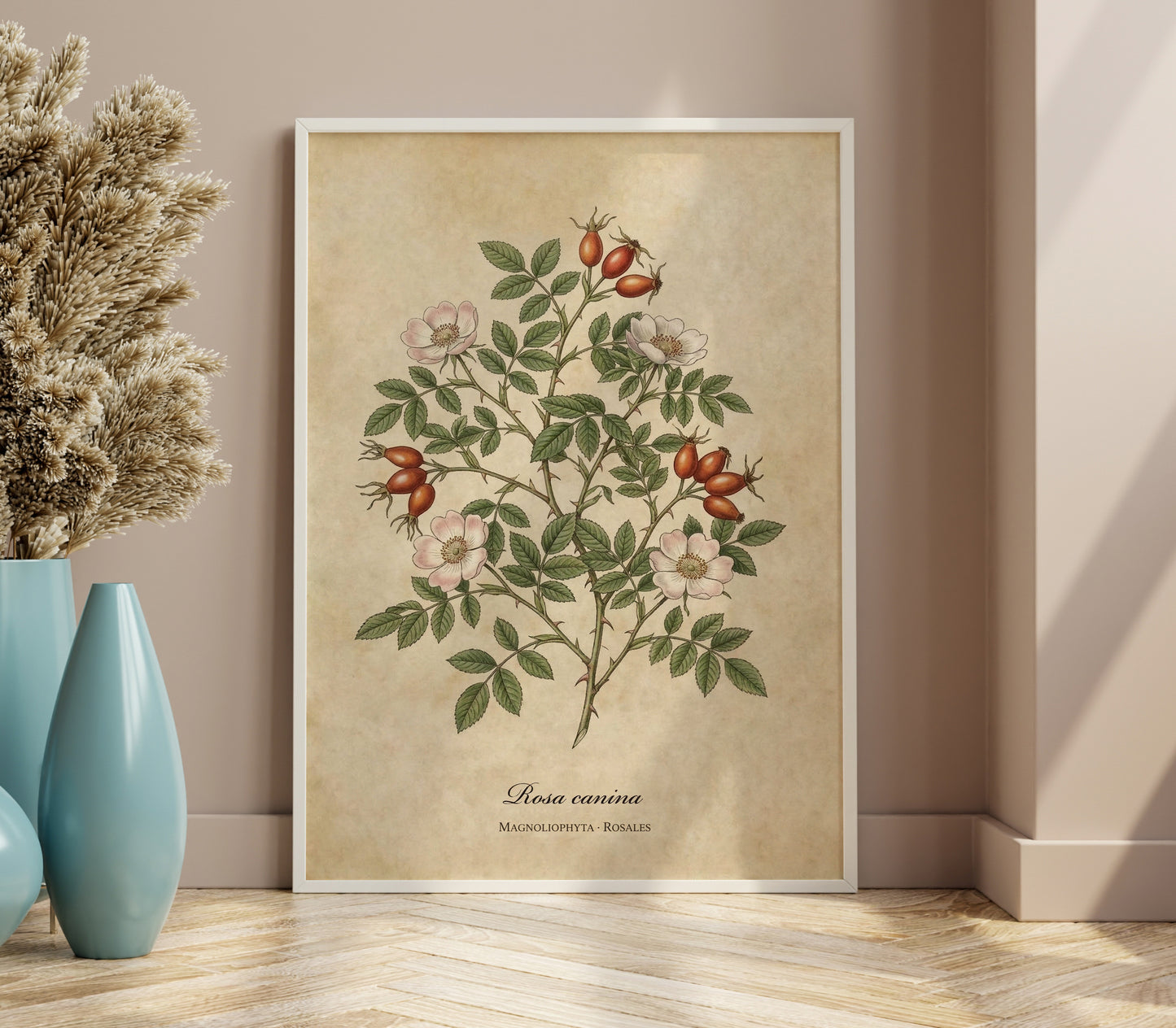 Botanical Rosa Canina Wall Art