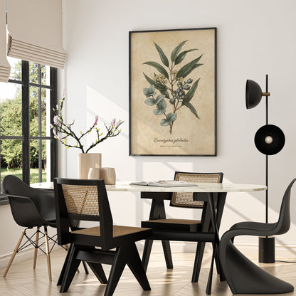 Vintage Eucalyptus Botanical Wall Art