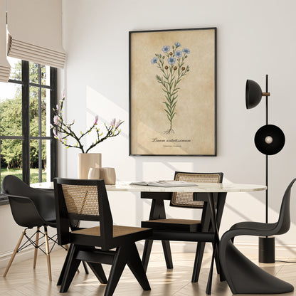 Blue Linum Botanical Wall Art