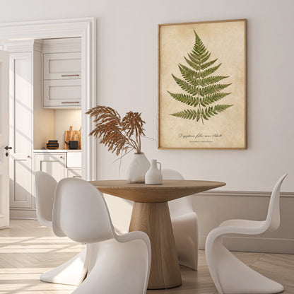 Vintage Botanical Fern Print