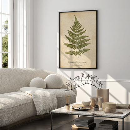 Vintage Botanical Fern Print