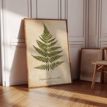 Vintage Botanical Fern Print