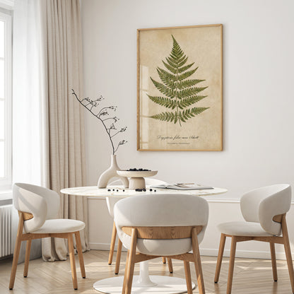 Vintage Botanical Fern Print