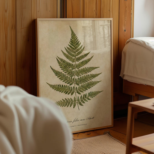 Vintage Botanical Fern Print