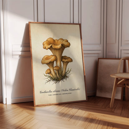 Vintage Mushroom Chanterelle Wall Art