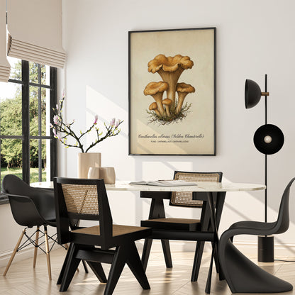 Vintage Mushroom Chanterelle Wall Art